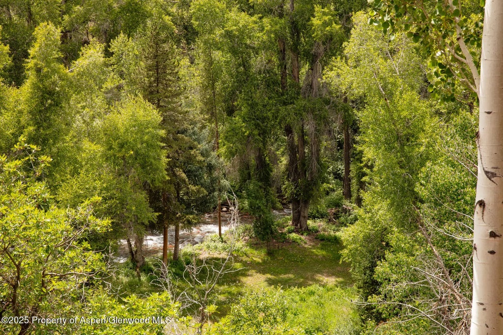 18 of 25 - 100 N 8th Street 28, Aspen, CO
