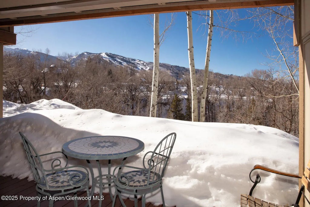 19 of 25 - 100 N 8th Street 28, Aspen, CO