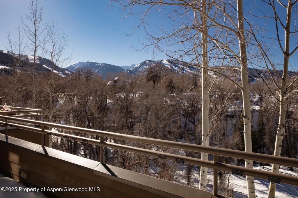 20 of 25 - 100 N 8th Street 28, Aspen, CO