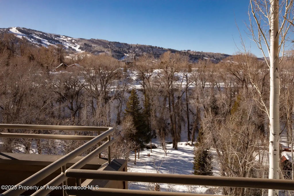 21 of 25 - 100 N 8th Street 28, Aspen, CO
