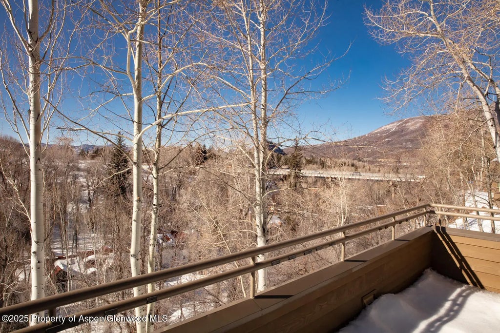 22 of 25 - 100 N 8th Street 28, Aspen, CO