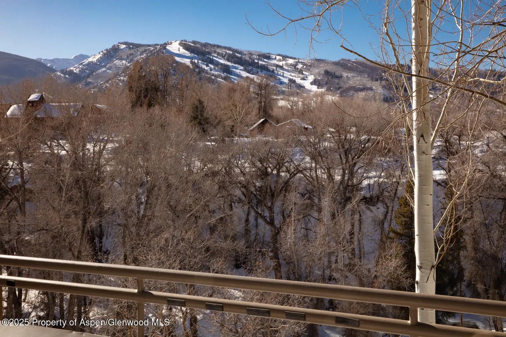 23 of 25 - 100 N 8th Street 28, Aspen, CO