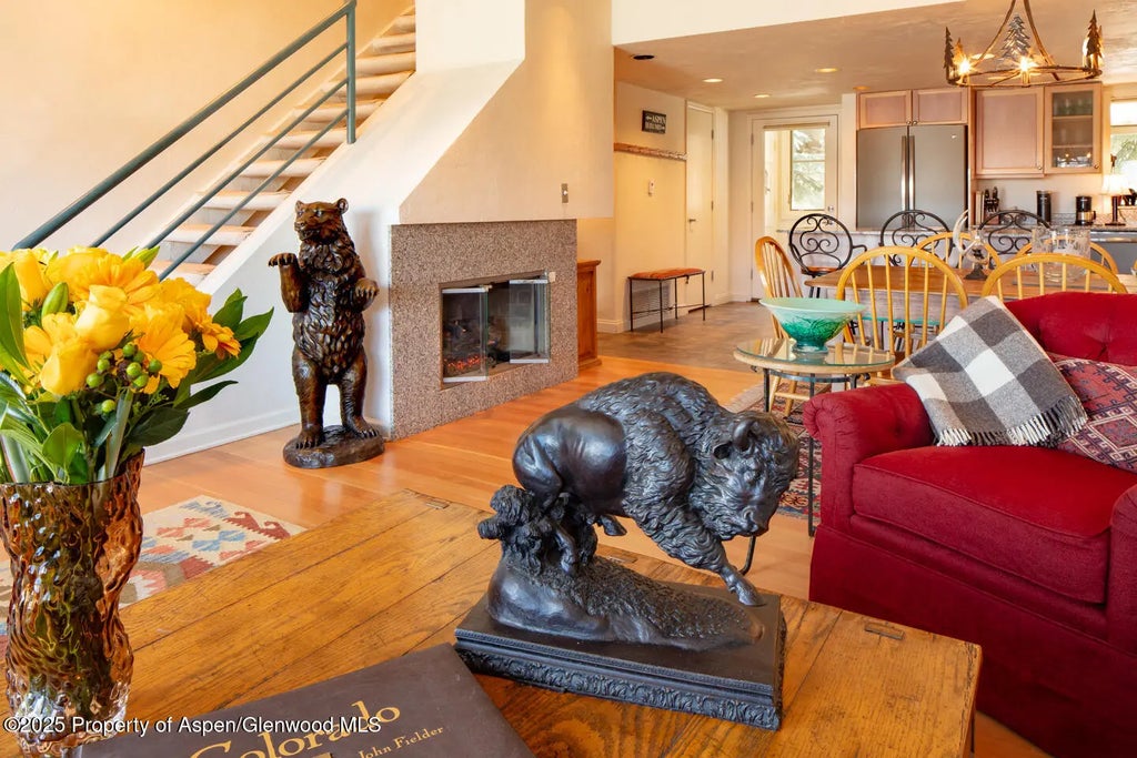 5 of 25 - 100 N 8th Street 28, Aspen, CO