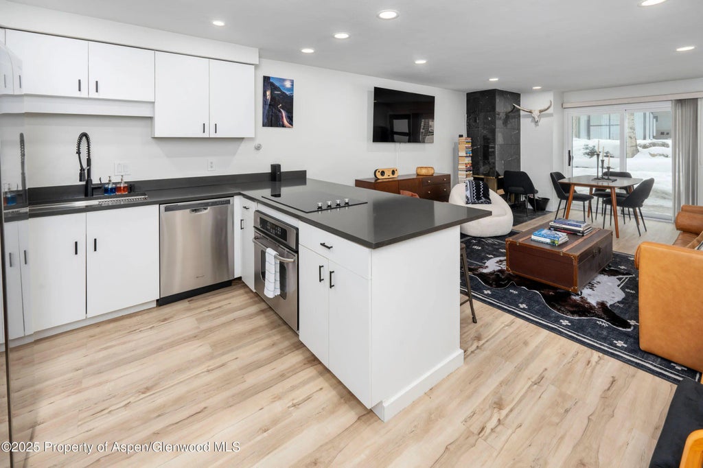 10 of 25 - 100 E Dean Street 1d, Aspen, CO