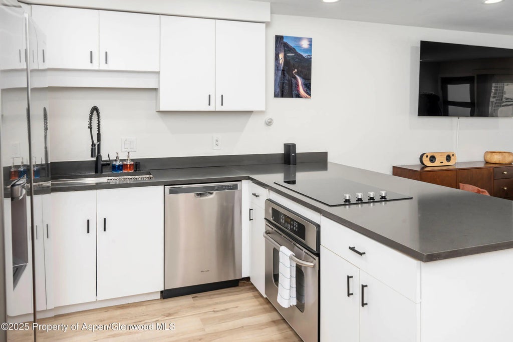 11 of 25 - 100 E Dean Street 1d, Aspen, CO