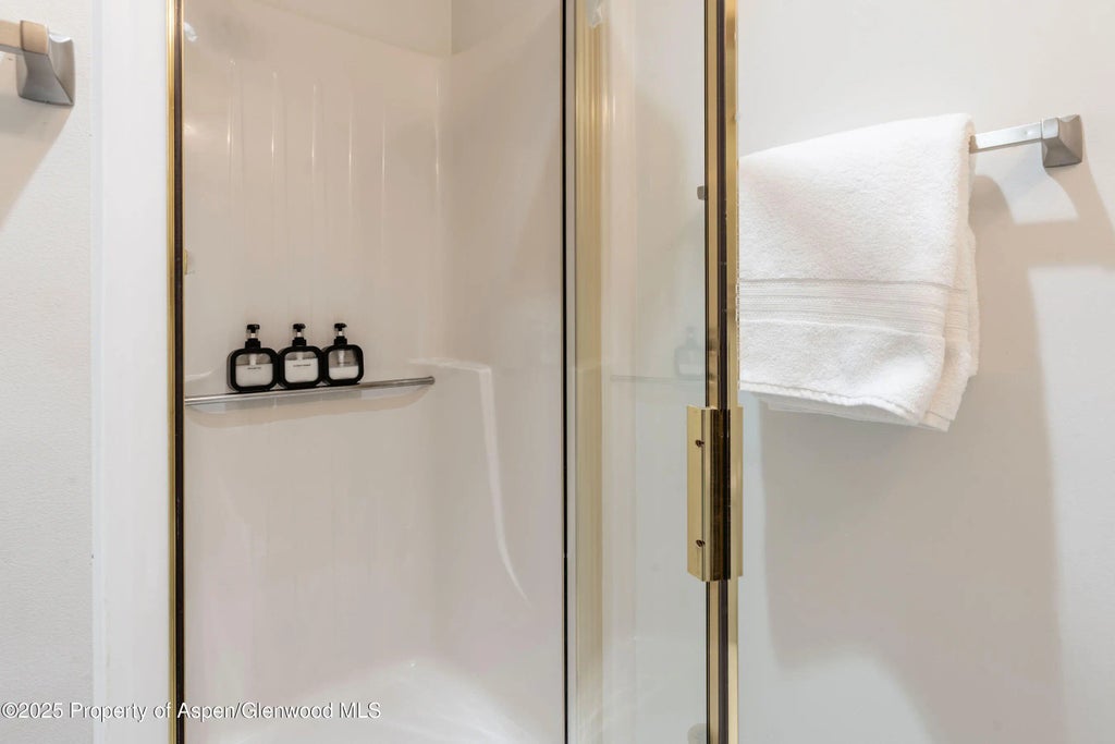 19 of 25 - 100 E Dean Street 1d, Aspen, CO
