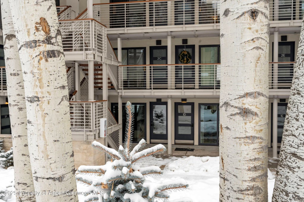 25 of 25 - 100 E Dean Street 1d, Aspen, CO