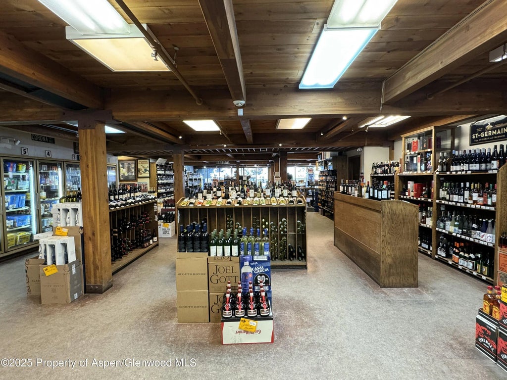 4 of 20 - 710 E Durant Avenue W-1 & W-2, Aspen, CO