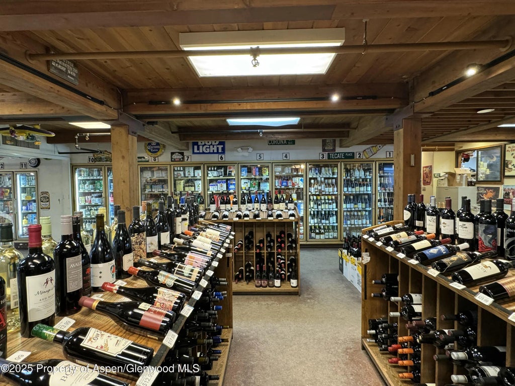 5 of 20 - 710 E Durant Avenue W-1 & W-2, Aspen, CO