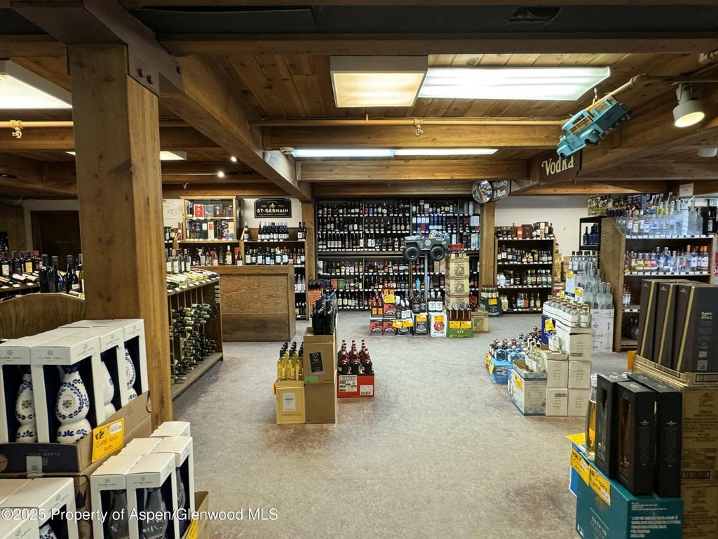 6 of 20 - 710 E Durant Avenue W-1 & W-2, Aspen, CO