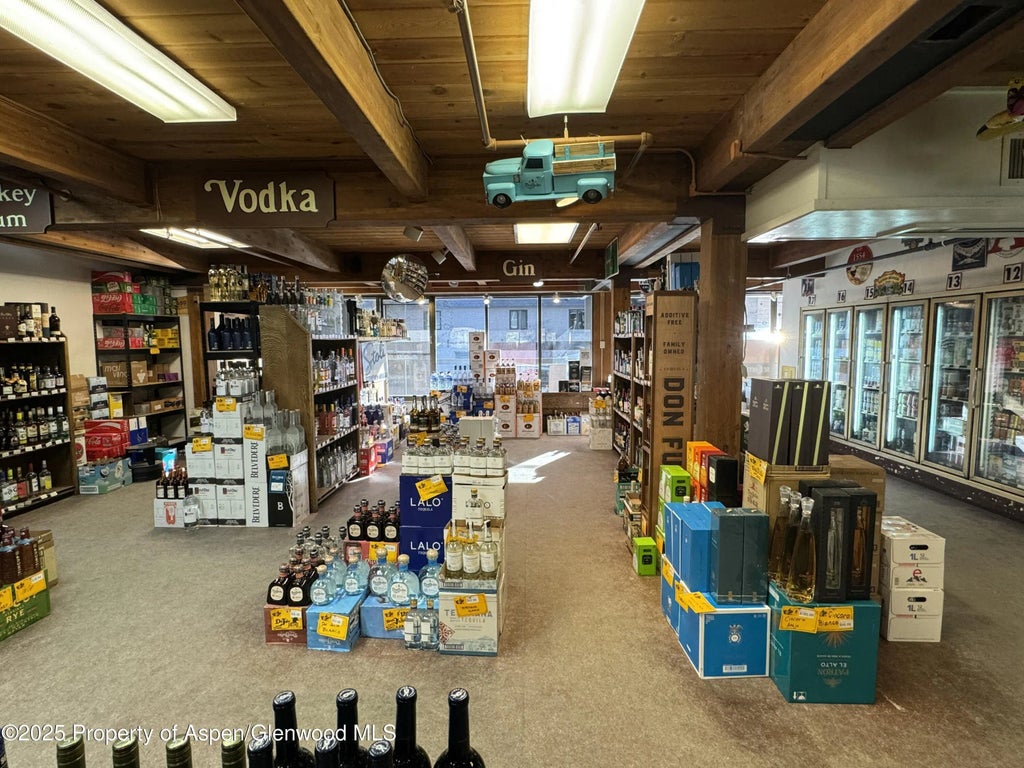 7 of 20 - 710 E Durant Avenue W-1 & W-2, Aspen, CO