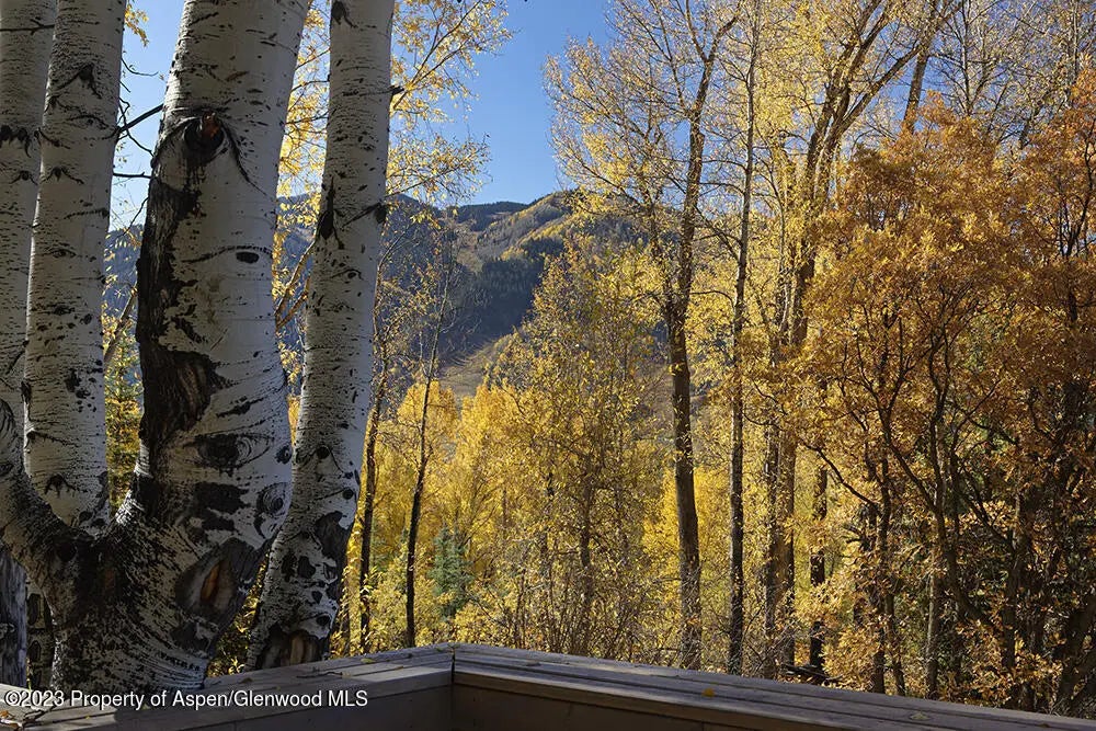 32 of 37 - 1036 Red Mountain Road, Aspen, CO