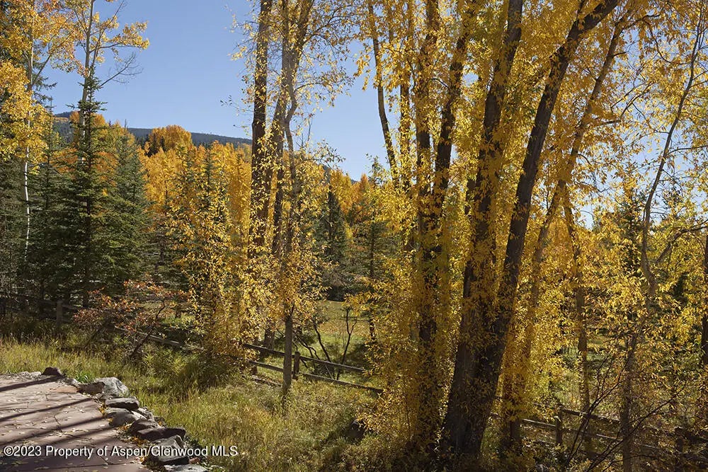 35 of 37 - 1036 Red Mountain Road, Aspen, CO