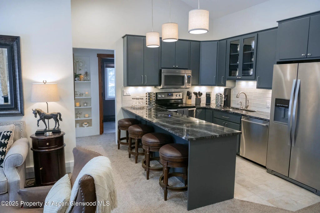 7 of 30 - 700 Monarch Street Unit 306, Aspen, CO