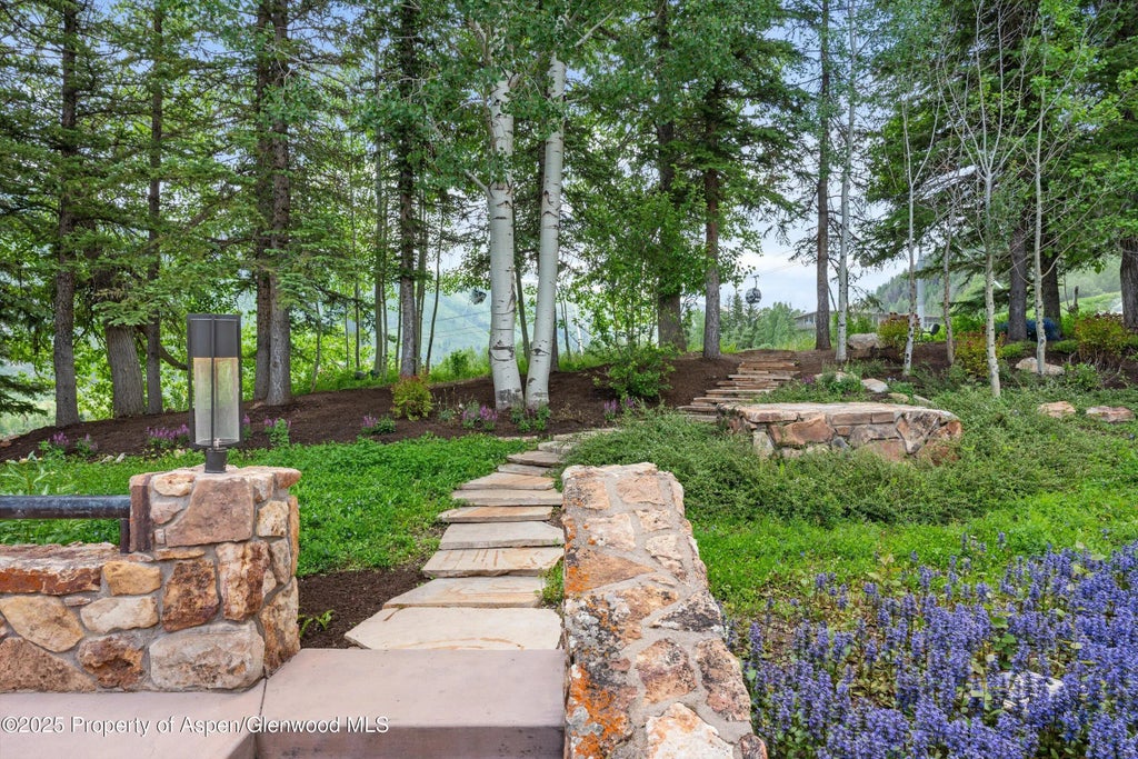 1 of 50 - 730 S Galena Street, Aspen, CO