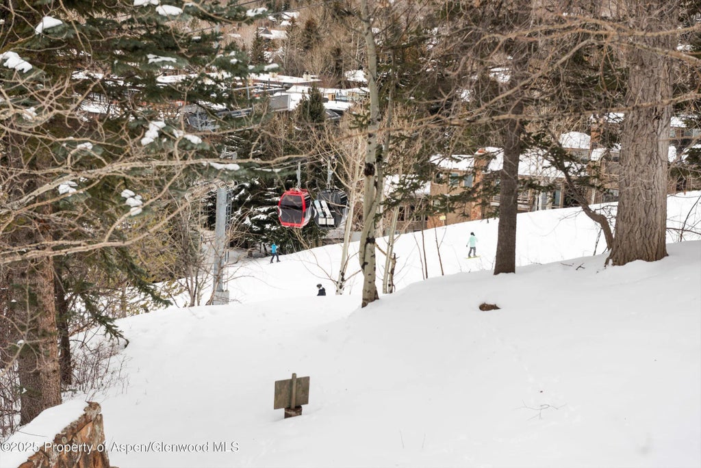 14 of 98 - 730 S Galena Street, Aspen, CO