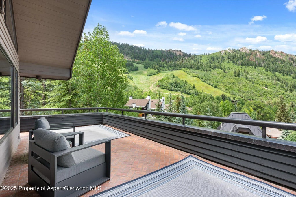 17 of 50 - 730 S Galena Street, Aspen, CO