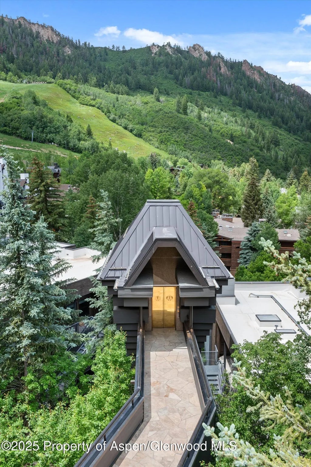 2 of 50 - 730 S Galena Street, Aspen, CO