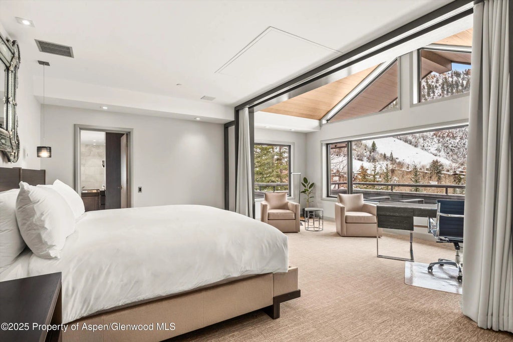 20 of 50 - 730 S Galena Street, Aspen, CO