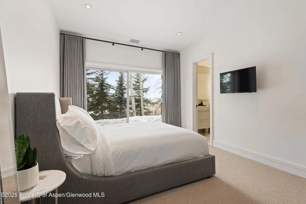 27 of 50 - 730 S Galena Street, Aspen, CO