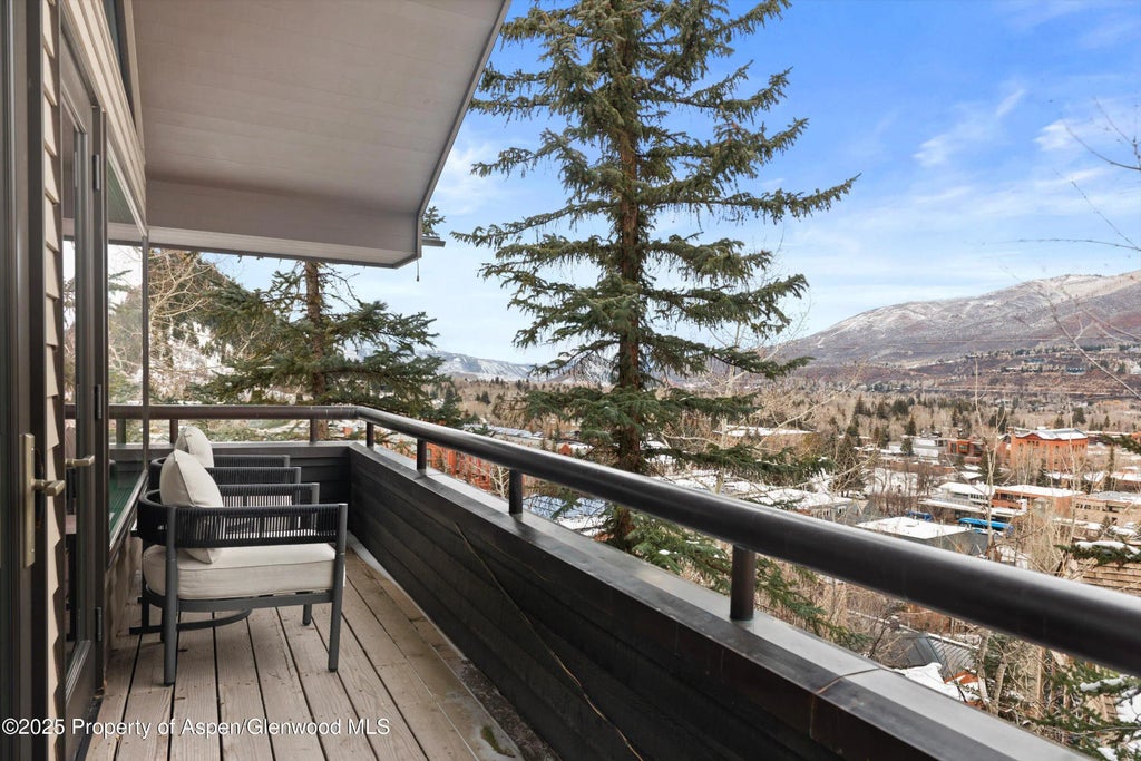 29 of 98 - 730 S Galena Street, Aspen, CO