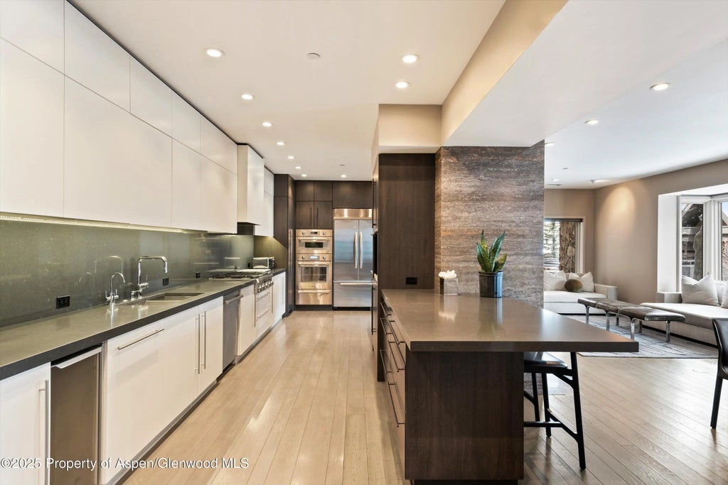 32 of 98 - 730 S Galena Street, Aspen, CO