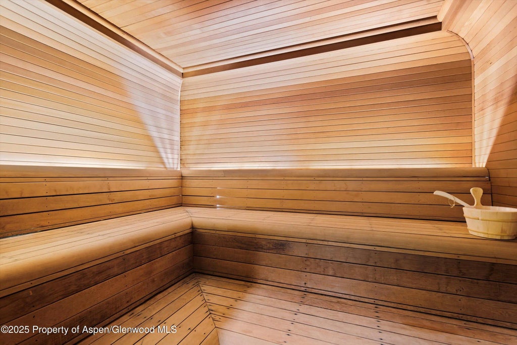 37 of 98 - 730 S Galena Street, Aspen, CO