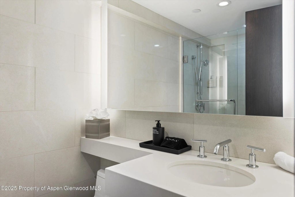 39 of 50 - 730 S Galena Street, Aspen, CO