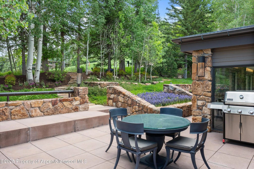 4 of 50 - 730 S Galena Street, Aspen, CO