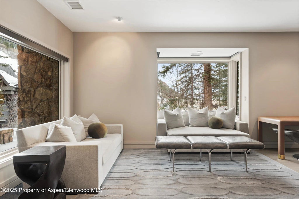 40 of 98 - 730 S Galena Street, Aspen, CO