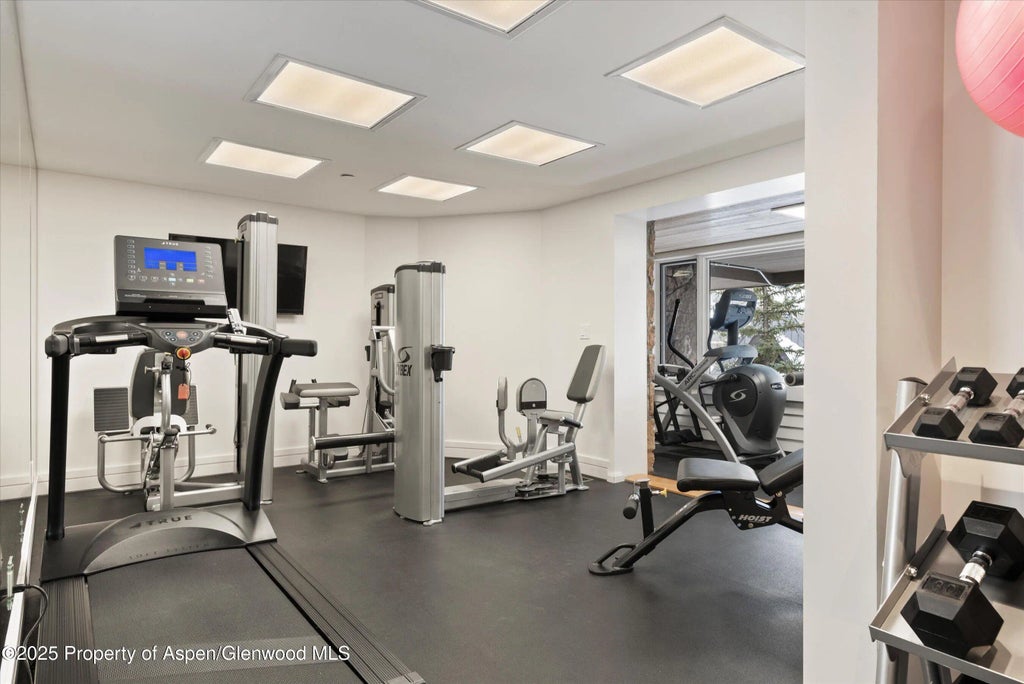 44 of 50 - 730 S Galena Street, Aspen, CO
