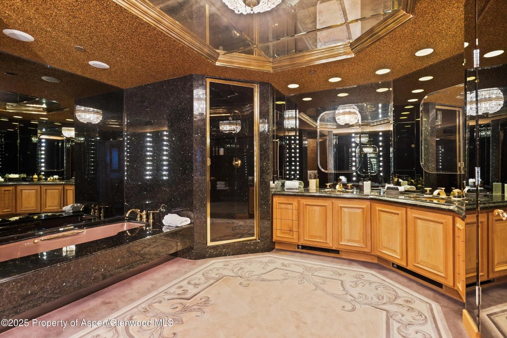 46 of 50 - 730 S Galena Street, Aspen, CO