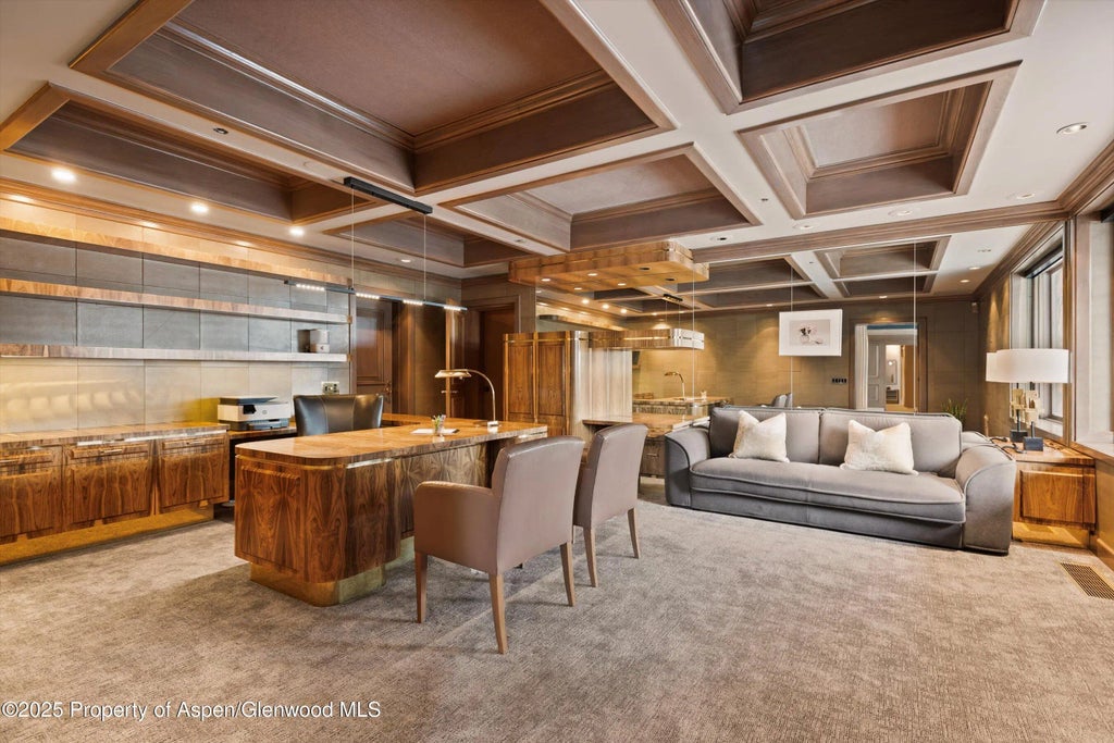 47 of 50 - 730 S Galena Street, Aspen, CO