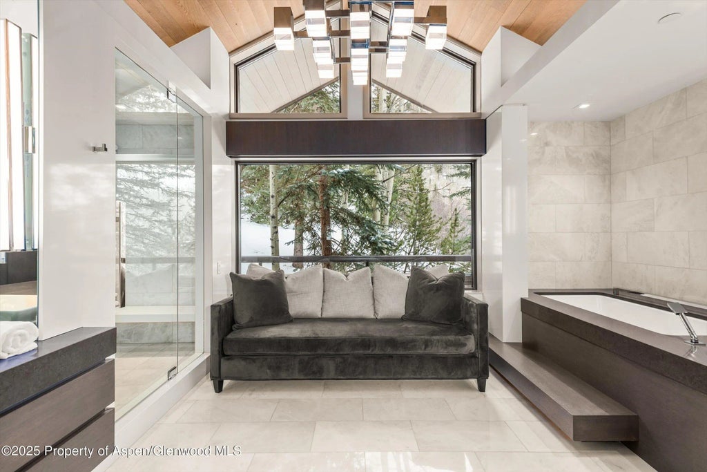 48 of 98 - 730 S Galena Street, Aspen, CO