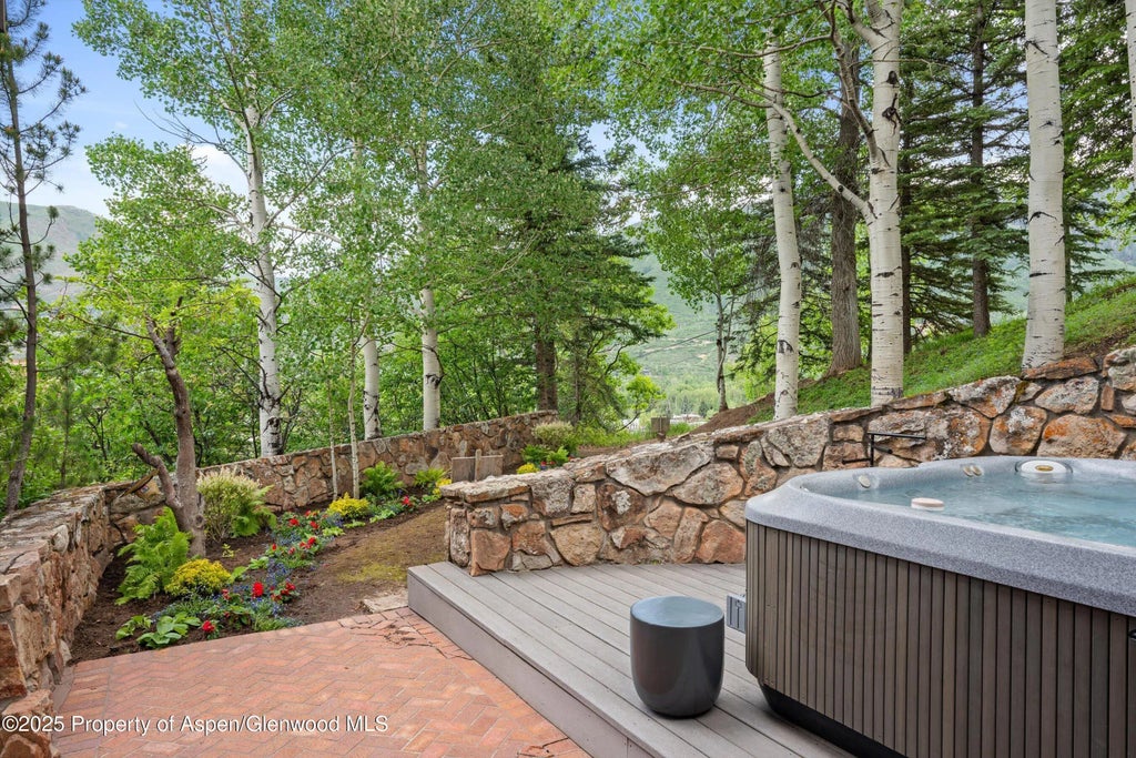 6 of 50 - 730 S Galena Street, Aspen, CO