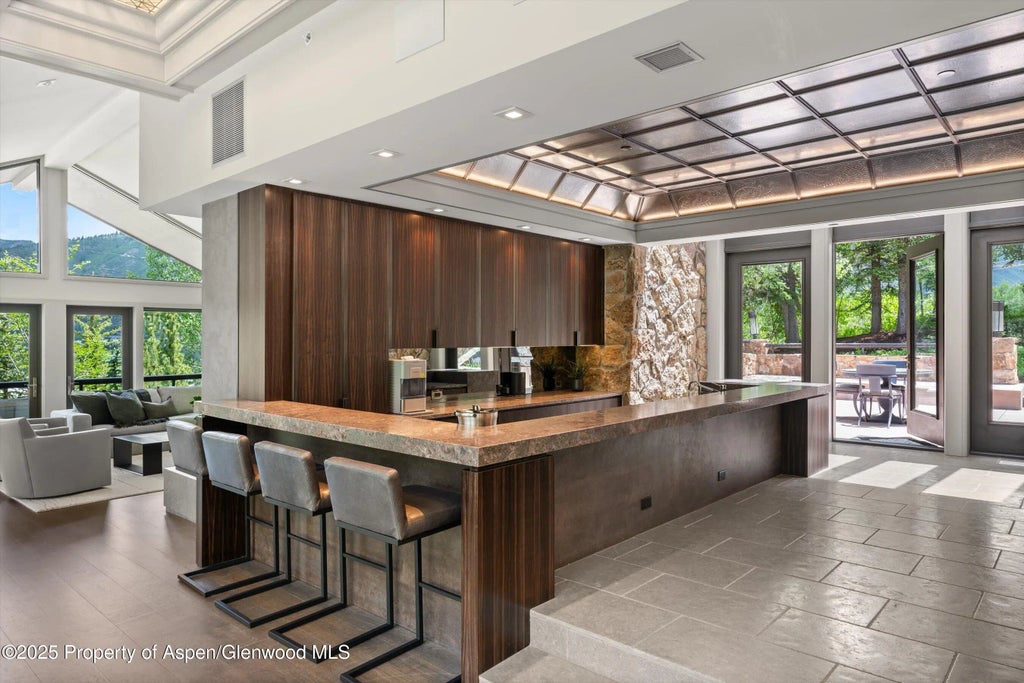 7 of 50 - 730 S Galena Street, Aspen, CO