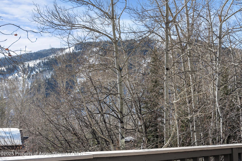 29 of 32 - 60 Northway Drive, Aspen, CO