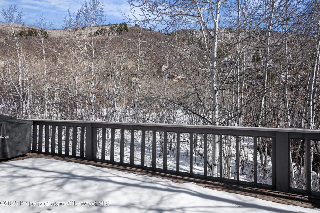 32 of 32 - 60 Northway Drive, Aspen, CO