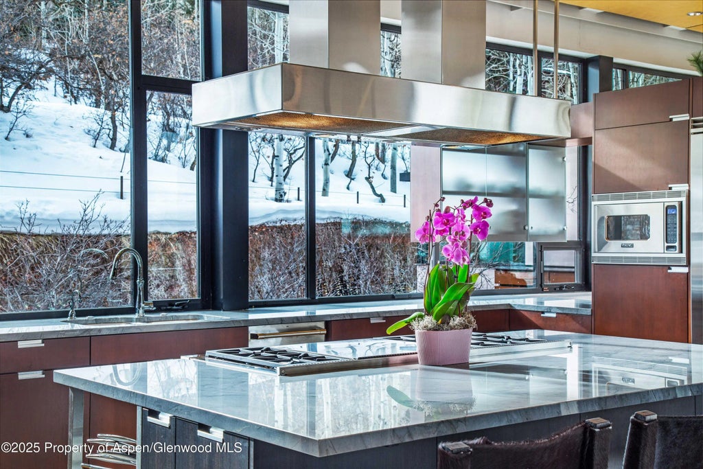 10 of 30 - 305 Larkspur Lane, Aspen, CO