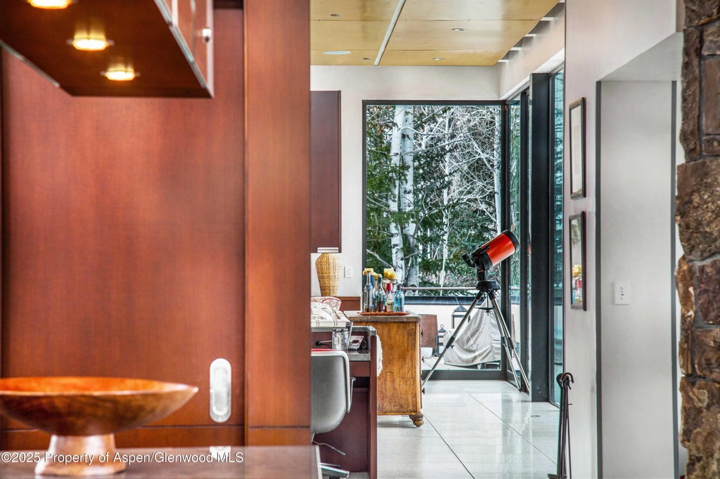 12 of 30 - 305 Larkspur Lane, Aspen, CO