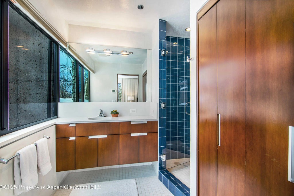 24 of 30 - 305 Larkspur Lane, Aspen, CO