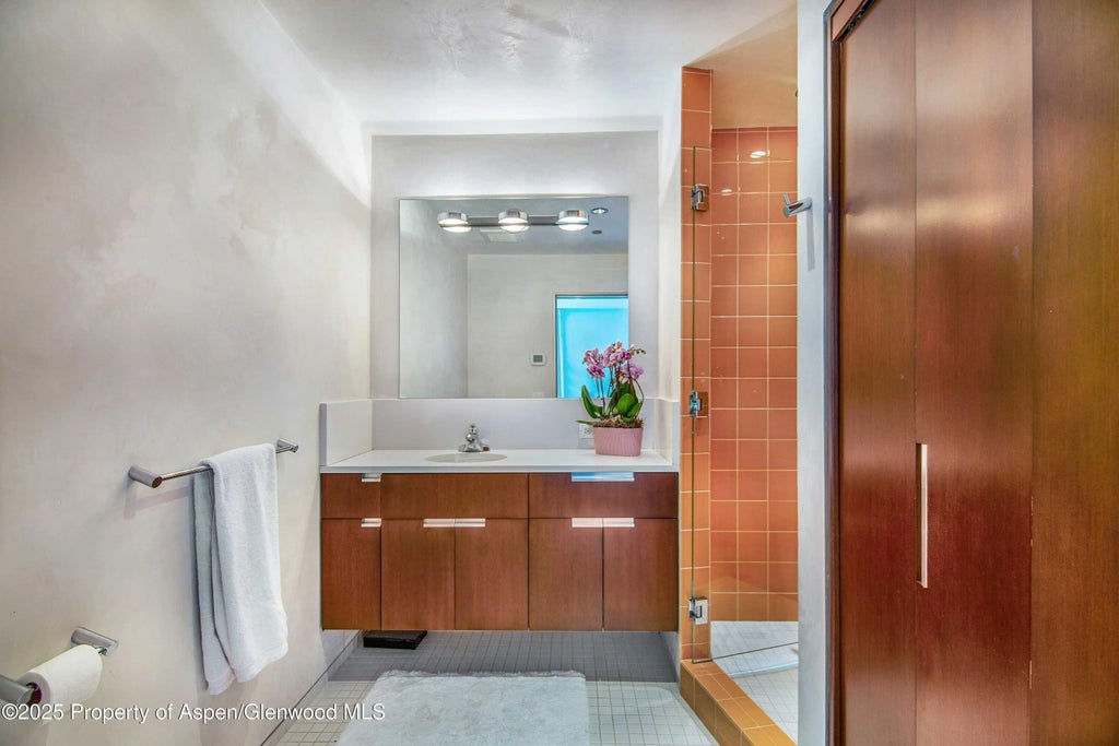 29 of 30 - 305 Larkspur Lane, Aspen, CO
