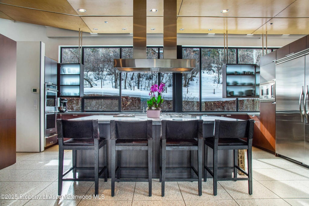 8 of 30 - 305 Larkspur Lane, Aspen, CO