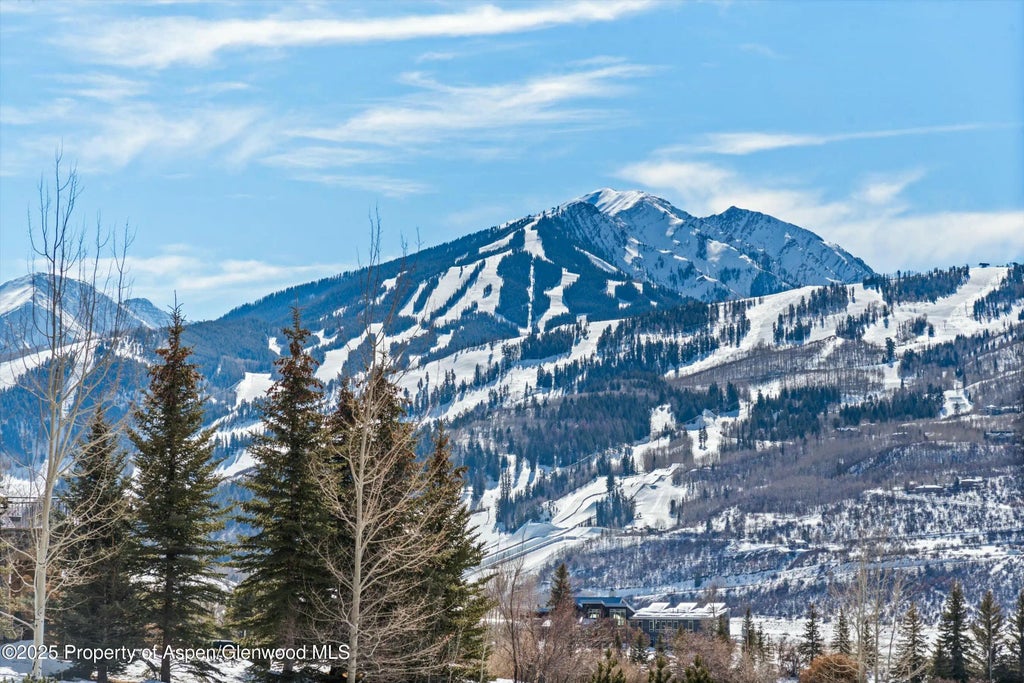 6 of 42 - 175 White Horse Springs Road, Aspen, CO