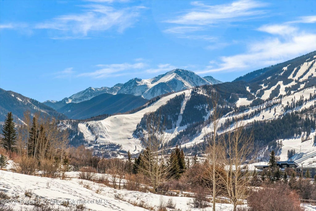 8 of 42 - 175 White Horse Springs Road, Aspen, CO