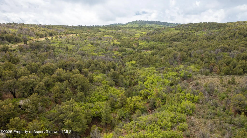 10 of 15 - 18973 Elk Reserve Road, Glade Park, CO