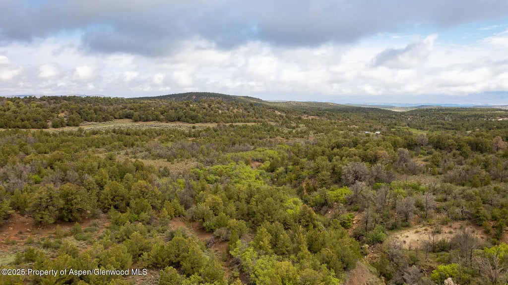 12 of 15 - 18973 Elk Reserve Road, Glade Park, CO