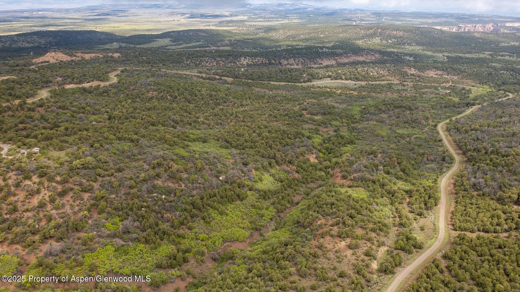 12 of 21 - 18973 Elk Reserve Road, Glade Park, CO