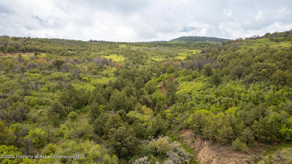 17 of 21 - 18973 Elk Reserve Road, Glade Park, CO