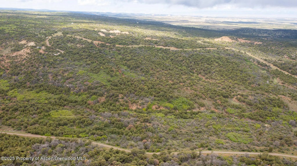 19 of 21 - 18973 Elk Reserve Road, Glade Park, CO